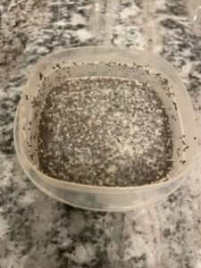 Chia Seed Pudding