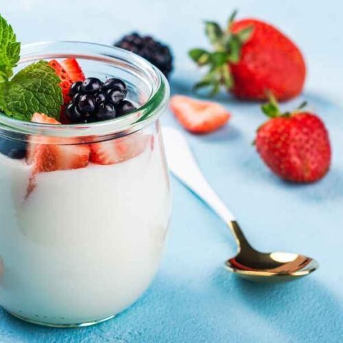 homemade Greek yogurt