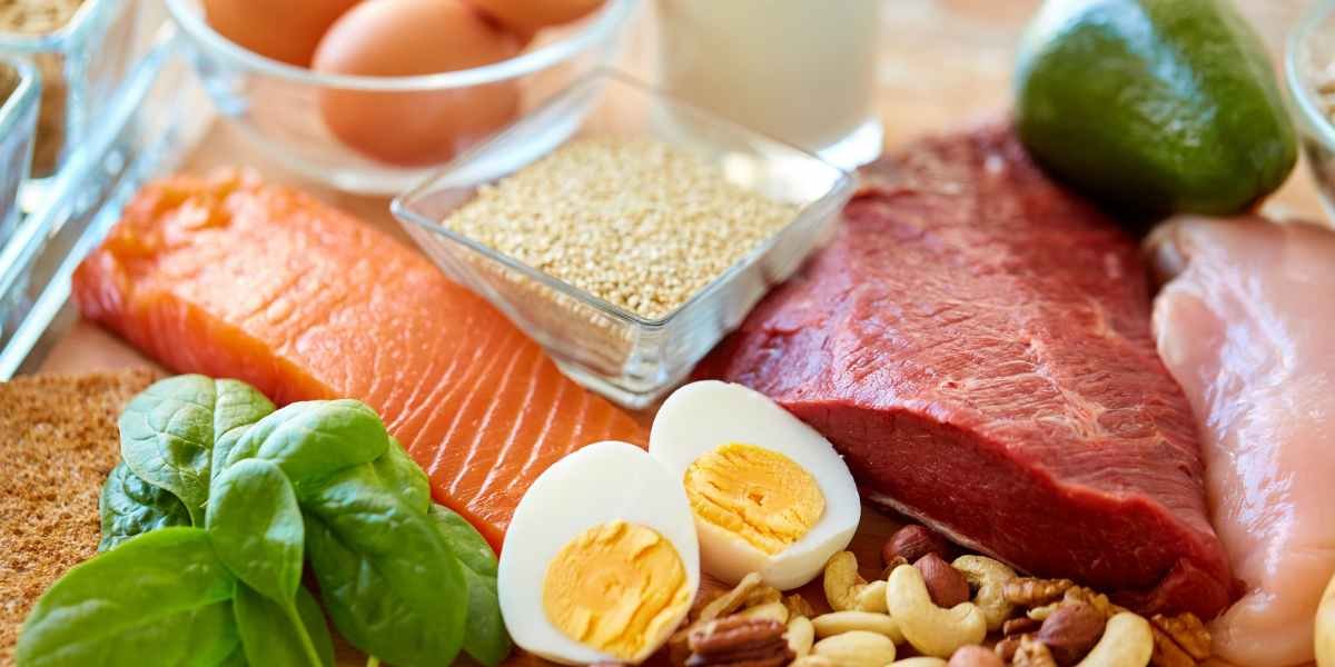High Protein Diet