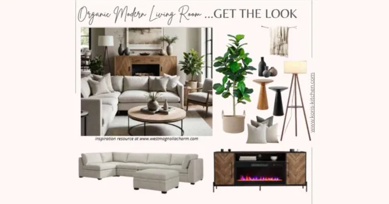 Organic Modern Living Room